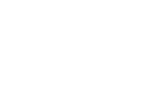 BHS Technologies